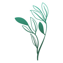 branch with leafs ecology icon vector illustration design
