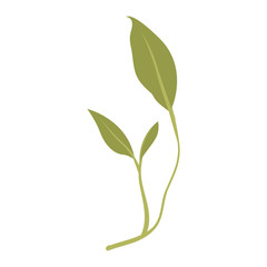 branch with leafs ecology icon vector illustration design