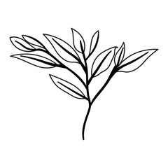 branch with leafs ecology icon vector illustration design