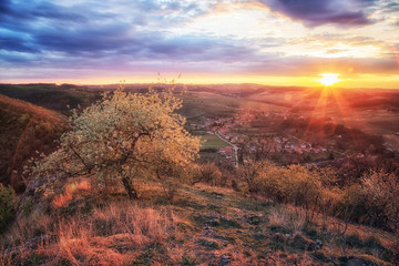 Lonely tree standing alone on hill side in Bull mountains with beautiful village in the valley