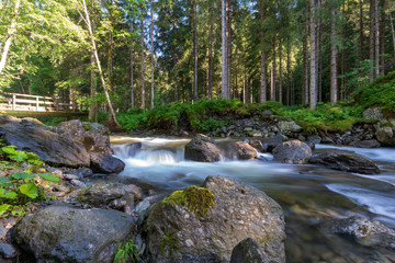 Kleiner kalter Gebirgsbach der sich durch den regennassen dichten Wald schlängelt