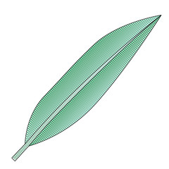 leaf plant ecology icon vector illustration design