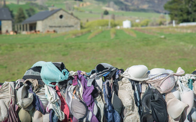 Cropped shot view of hanging Bra at Cardrona Bra Fence one of world famous controversial tourist attraction in Central Otago, New Zealand.