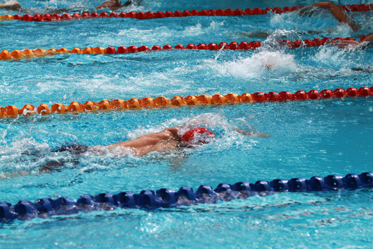 Swimmers swim free style, front crawl or forward crawl stroke in a swimming pool for competition or race