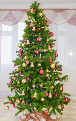 Fototapeta na wymiar Christmas tree indoors