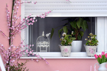 Window with potted flowers and a bird cage - 212297373