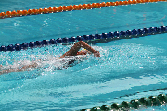 Swimmer swims free style in a swimming pool for competition or race