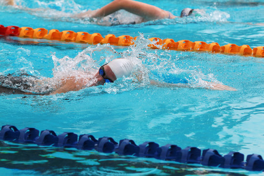 Swimmers swims free style in a swimming pool for competition or race