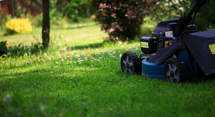 Blurred background of the home garden and lawn mower on mown grass.