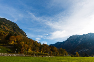 Obraz premium train and snowy mountain on meadow at Jungfrau region in Switzerland