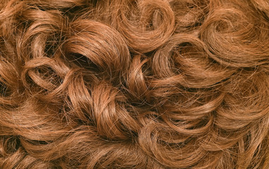 Close-up of a human curly hair
