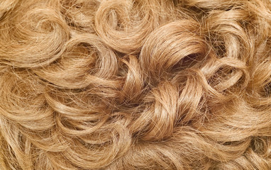 Close-up of a human curly hair