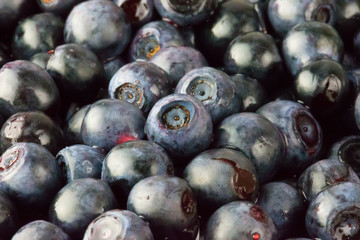 Blueberry blueberries background, close-up