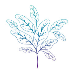 branch with leafs ecology icon vector illustration design