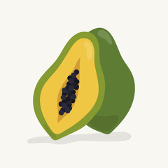 Hand drawn papaya fruit illustration