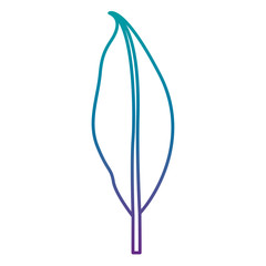 leaf plant ecology icon vector illustration design