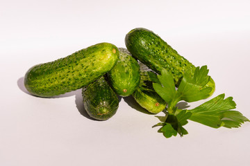 die ersten kleinen geernteten Gurken