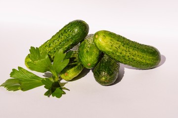 die Gurkenernte hat begonnen