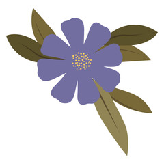 Naklejka premium beautiful flower and leafs garden vector illustration design