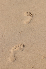 Fototapeta na wymiar Footprints in sand on a beach 