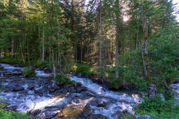 Obraz premium Bach mit Bäume am Ufer