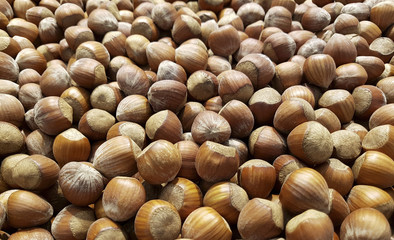 Huzelnut background. Hazelnuts in shell stacked in a heap shot from above closeup