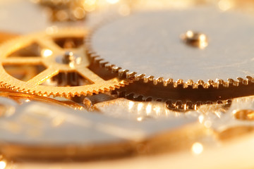 gold watch mechanism