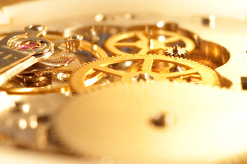 gold watch mechanism