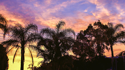 Fototapeta na wymiar Vivid Tropical Sunrise . Australia