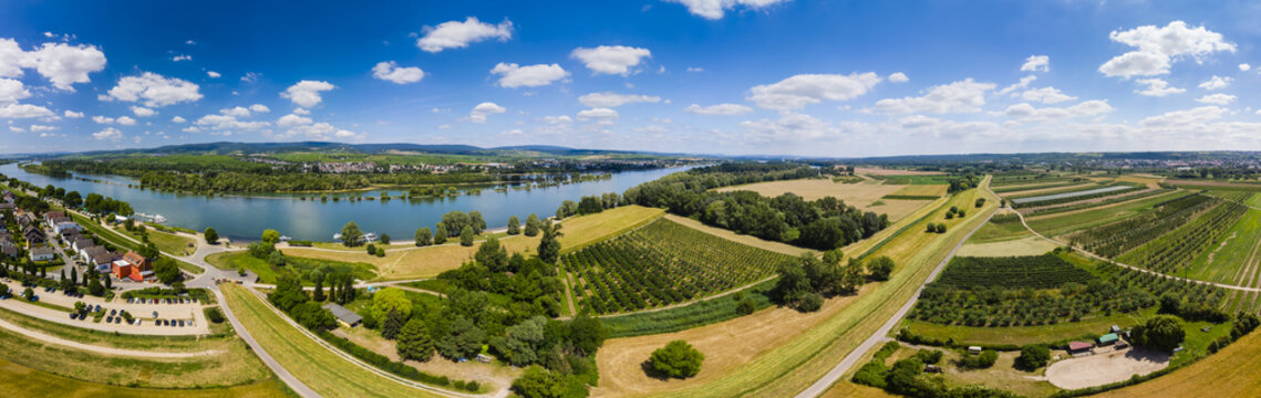 Luftbild &uuml;ber Heidesheim auf den Rhein, dahinter Eltville und Erbach, Heidesheim am Rhein, Rheinland-Pfalz, Deutschland