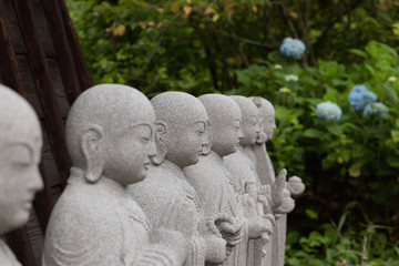 Fototapeta premium 地蔵と紫陽花