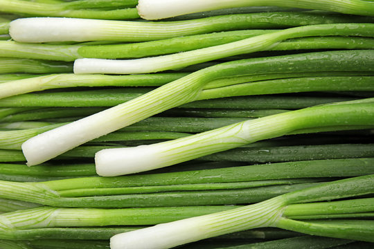 Fresh green onion as background