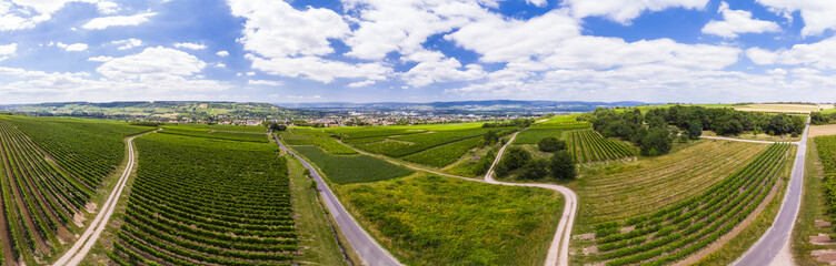 Luftbild über Weinberge auf Ingelheim am Rhein, Rheinland-Pfalz, Deutschland