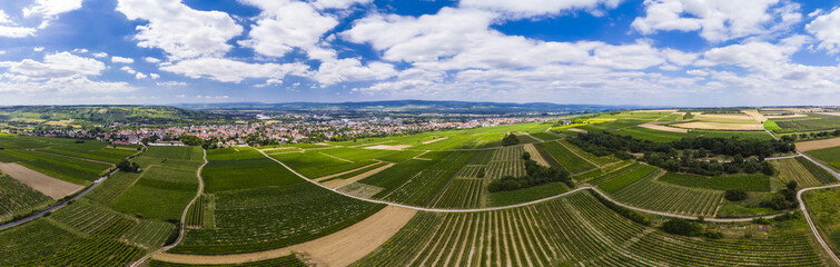 Obraz premium Luftbild über Weinberge auf Ingelheim am Rhein, Rheinland-Pfalz, Deutschland