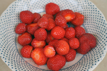 Bowl of fresh Fraises de Plougastel strawberries from Brittany, France