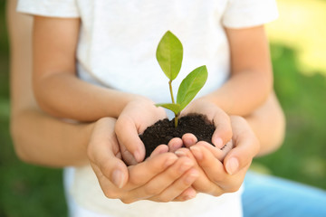 Woman and her child holding soil with green plant in hands on blurred background. Family concept