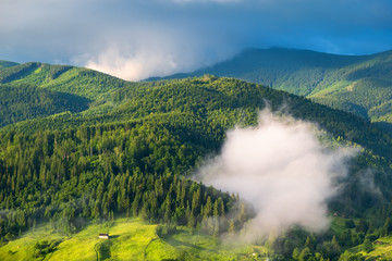Fototapeta na wymiar Mountain valley in the mist. Beautiful natural landscape at the summer time during sunrise