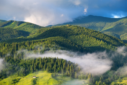 Fototapeta Mountain valley in the mist. Beautiful natural landscape at the summer time during sunrise
