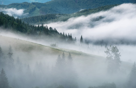Fototapeta Mountain valley in the mist. Beautiful natural landscape at the summer time during sunrise