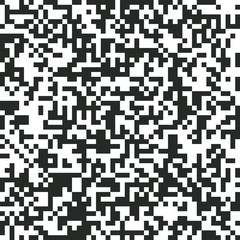 QR Code Digital Abstract Black and White Pixel Noise Background