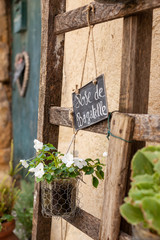 Rose of Bagatelle in Lourmarin, Provence