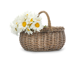 Fototapeta na wymiar Wicker basket with beautiful chamomile flowers on white background