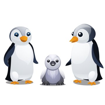 A set of fun animated penguins isolated on white background. Vector cartoon close-up illustration.