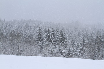 Chute de neige sur le massif jurassien