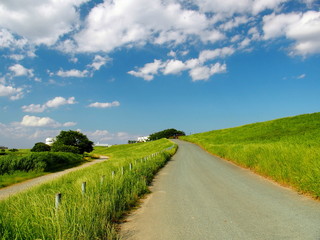 初夏の土手風景