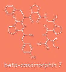 Beta-casomorphin peptide 7 molecule. Breakdown product of casein that may play a role in human diseases. Skeletal formula.