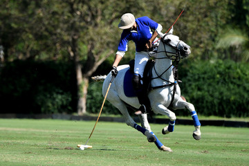 polo player use a mallet hit ball in tournament.