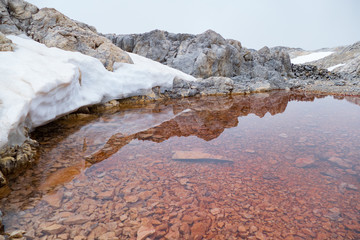 detail of a tiny alpine lake