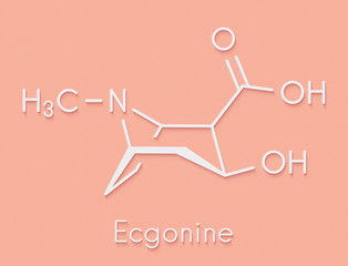Ecgonine coca alkaloid molecule. Metabolite of cocaine. Skeletal formula.