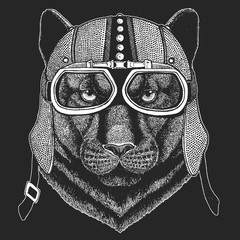Panther, puma, cougar, wild cat, jaguar. Vintage motorcycle hemlet. Retro style illustration with animal biker for children, kids clothing, t-shirts. Fashion print with cool character. Speed and